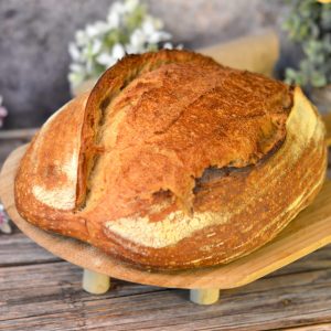 BUNDLE CURSOS PANADERIA