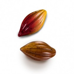 Molde bomboneria haba cacao policarbonato